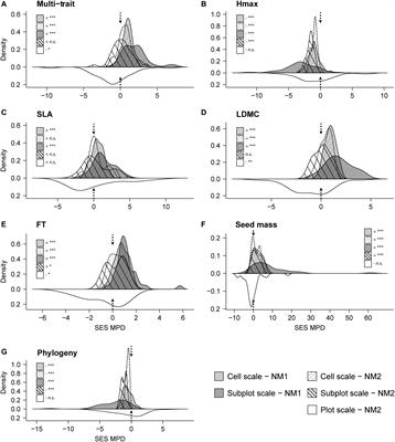 Spatial Scale Dependence of Ecological Factors That Regulate Functional and Phylogenetic Assembly in a Mediterranean High Mountain Grassland